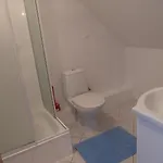 U Studanky 3* Карловы Вары