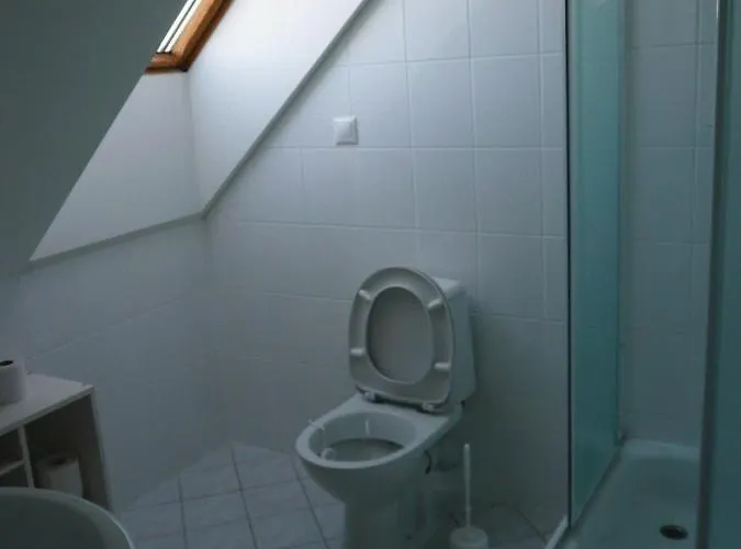 U Studanky Gæstehus Karlovy Vary